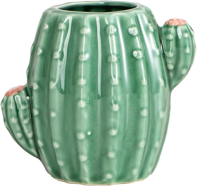 Ceramic Cactus Pen Holder Stand Cup Cactus Pencil Holder Organizer Makeup Brush Holders for Home ... | Amazon (US)