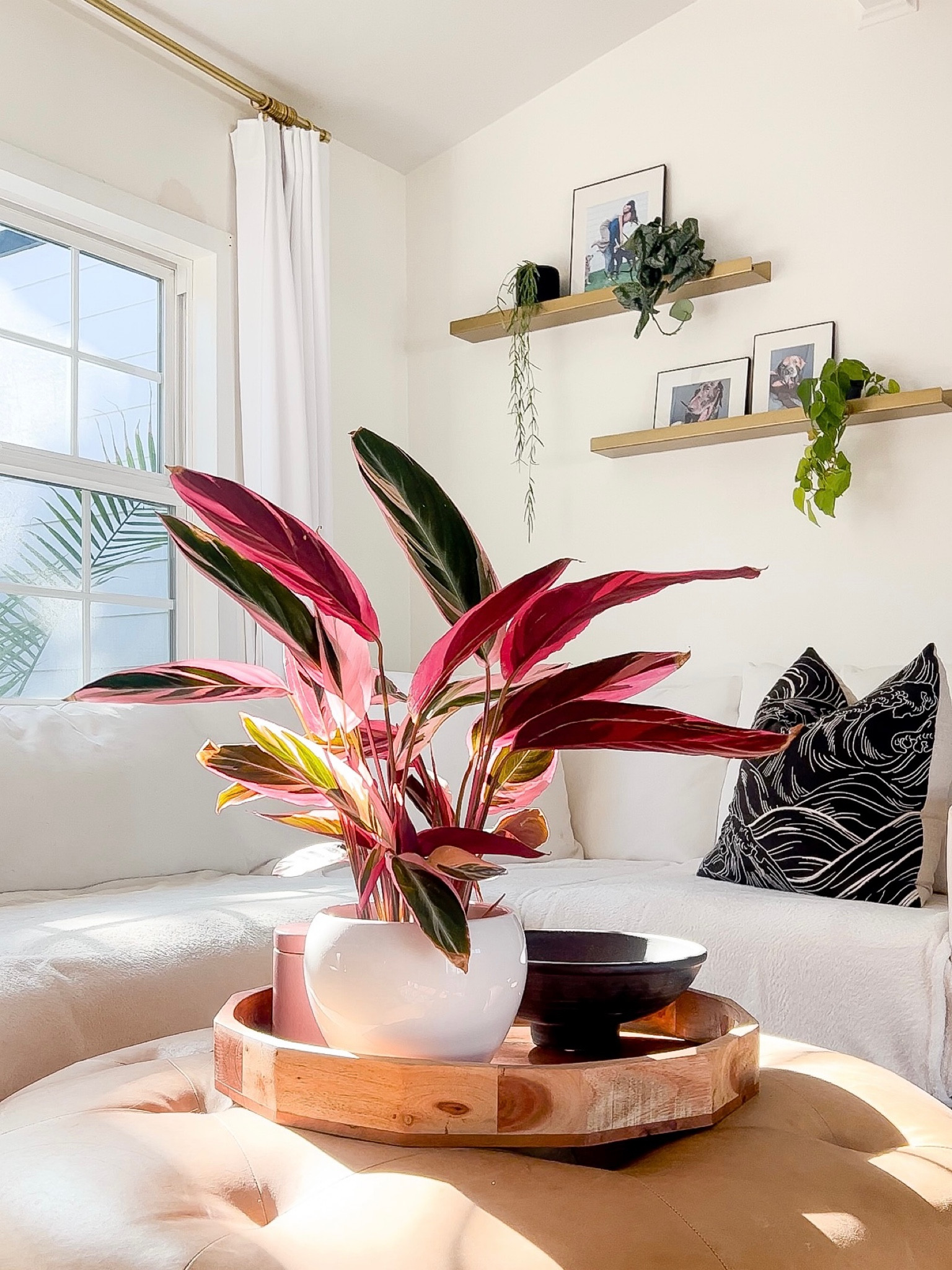 Cozy + light living room 

#LTKunder50 #LTKFind #LTKhome