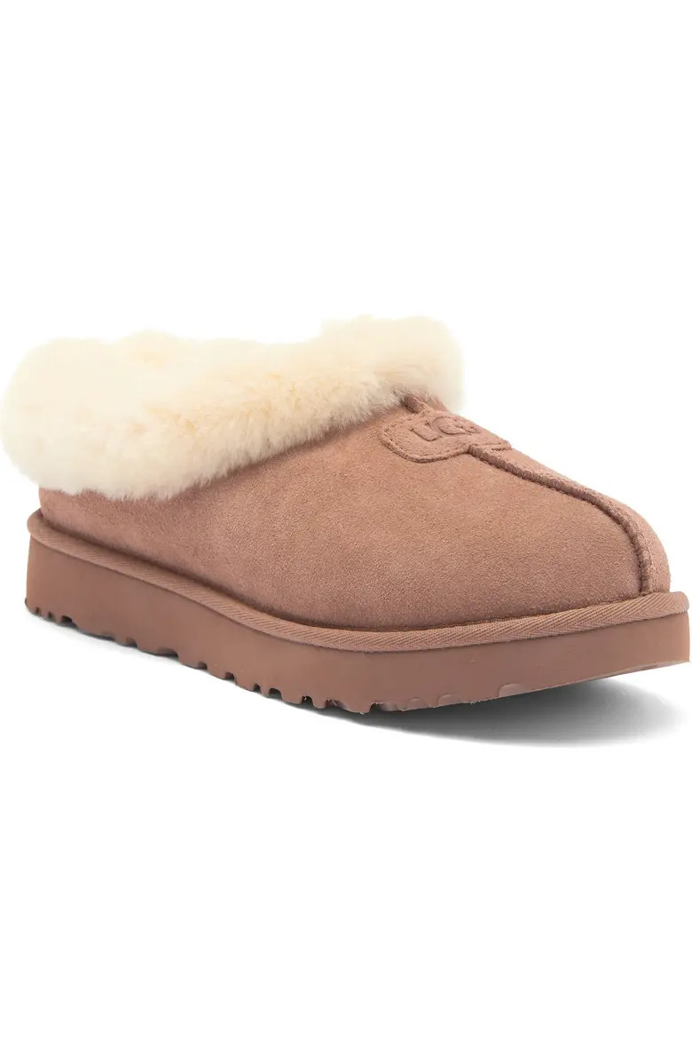 Tazzette Genuine Shearling Collar Slipper (Women) | Nordstrom