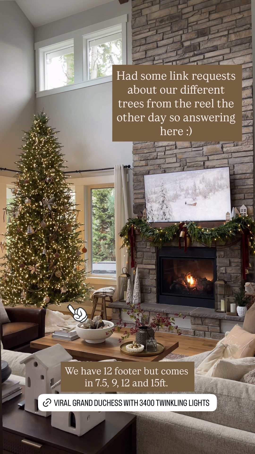 12 foot viral grand duchess from Home Depot! 3400 sparkling lights!

#LTKHome #LTKHoliday #LTKSeasonal