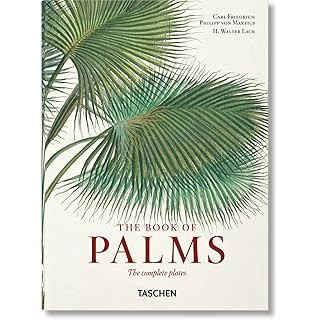 Martius. The Book of Palms     Hardcover – July 27, 2017 | Amazon (US)