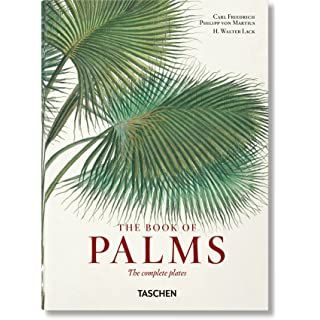 Martius. The Book of Palms     Hardcover – July 27, 2017 | Amazon (US)