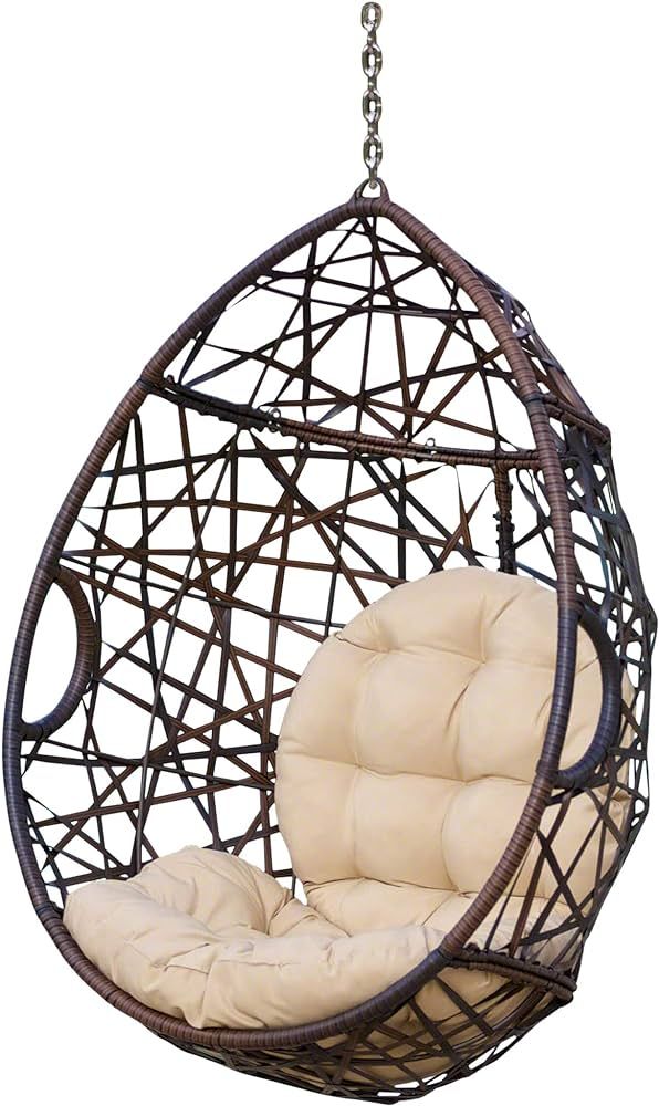 Christopher Knight Home Isaiah Indoor/Outdoor Wicker Tear Drop Hanging Chair (Stand Not Included)... | Amazon (US)