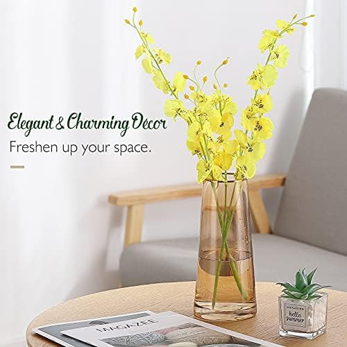 Roylvan Clear Glass Vase, 8.7 Inch Modern Ins Style Flower Plant Bud Vase Floral Decorative Containe | Amazon (US)