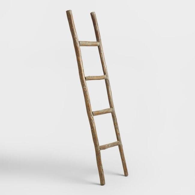 Natural Eucalyptus Ladder Decor | World Market