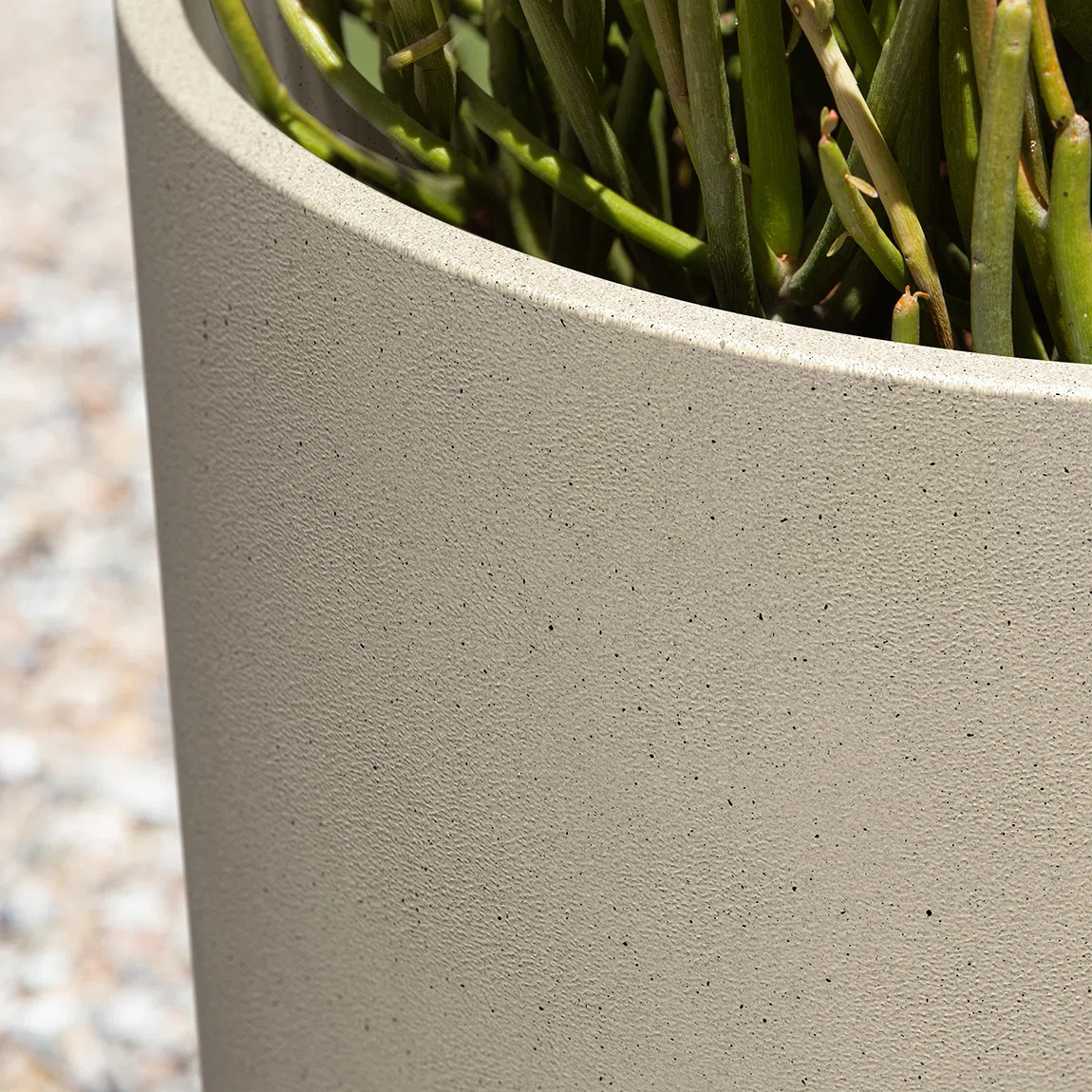 Mason Series Pot Planter | Wayfair North America