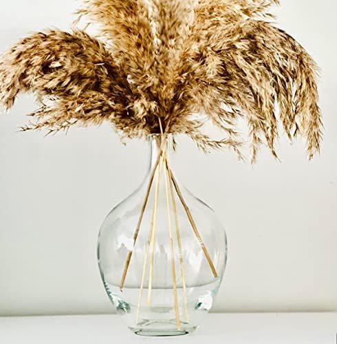 Clear Glass Vase for Pampas Grass Flowers, Clear Vase for Decor, Small Glass Vase for Dining Tabl... | Amazon (US)