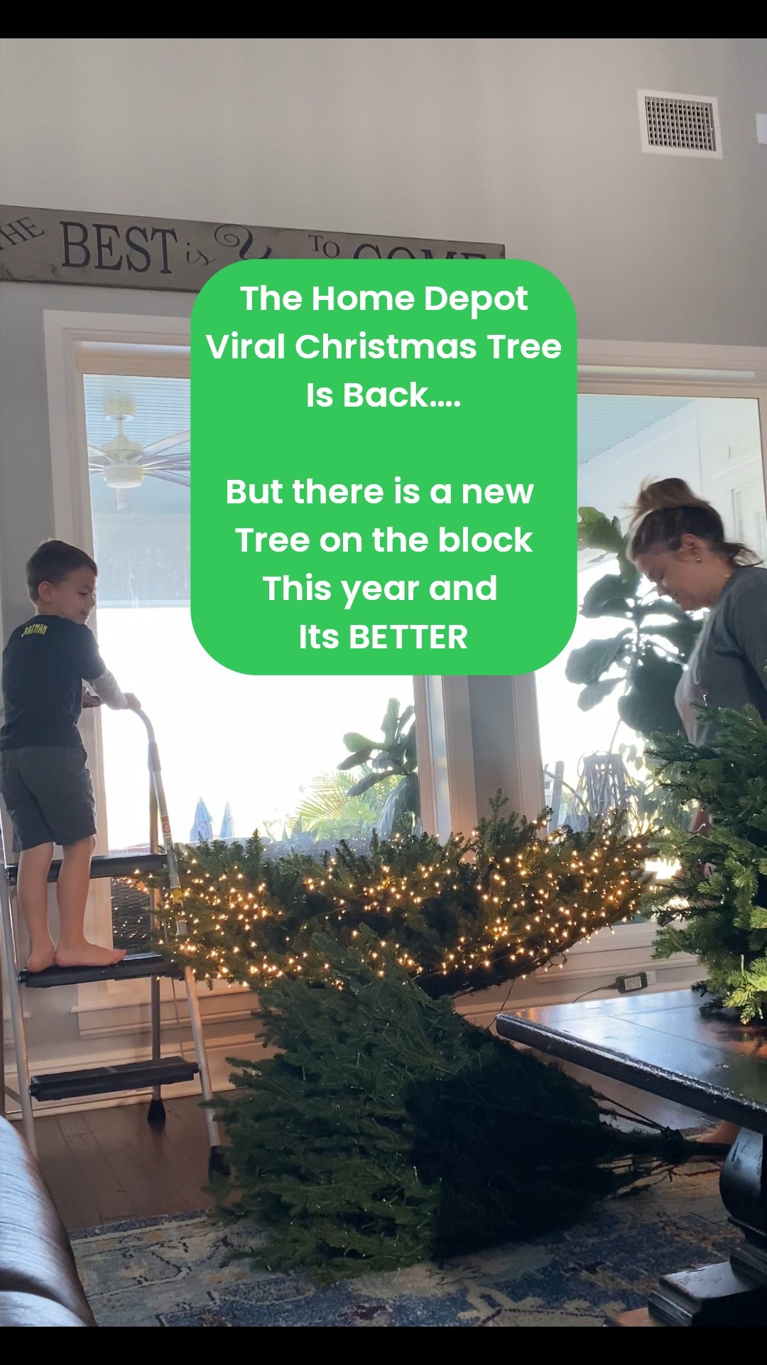The Viral Christmas tree is back in stock- with a FLOCKED VERSION- but before you click add to cart check out the NEW Yorkshire tree option, with more branches, light modes and even more lights! 
#christmastree #viralchristmastree #viraltree


#LTKHome #LTKSeasonal