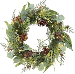 Lighted Christmas Wreath for Front Door Green Wreath Decorated with Pine Cones,Berry Clusters, Ab... | Amazon (US)