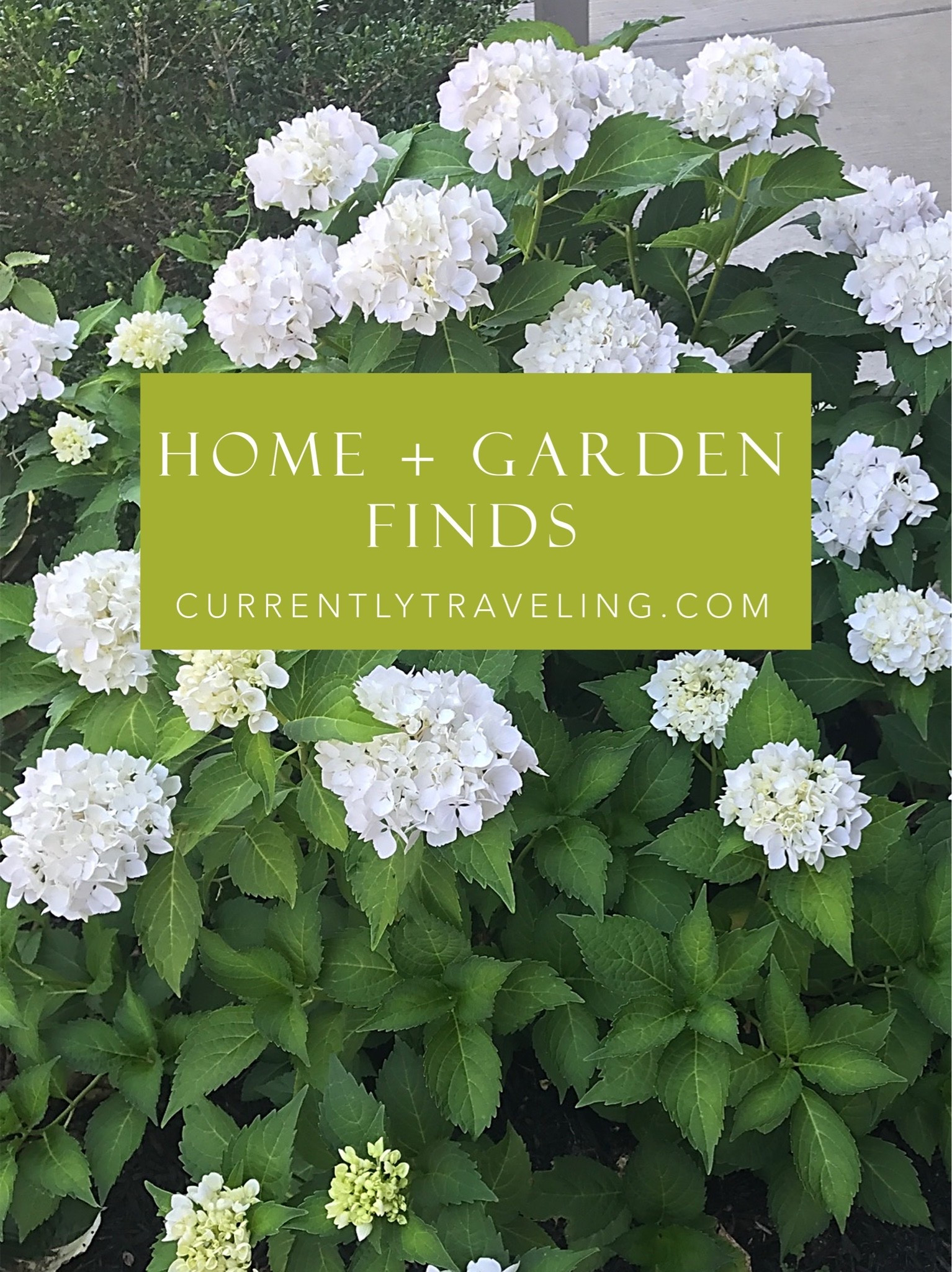 Home and garden finds
Spring decor 
Spring garden 
Hydrangeas 
Gardening supplies 
Gift for Mom 
Gift for Gardeners 
Home improvement 
Landscaping ideas
Outdoor furniture 
Coastal style 
New England summer
Spring flowers 
Plants for home
Floral wreath 
Floral decor 
Home decor 



 #LTKHome #LTKSeasonal

#LTKdayinmylife