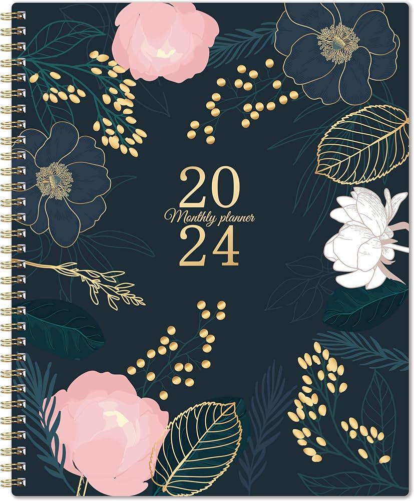 2024 Monthly Planner - 12 Monthly Planner/Calendar 2024, from Jan 2024 - Dec 2024, 9‘’ x 11''... | Amazon (US)