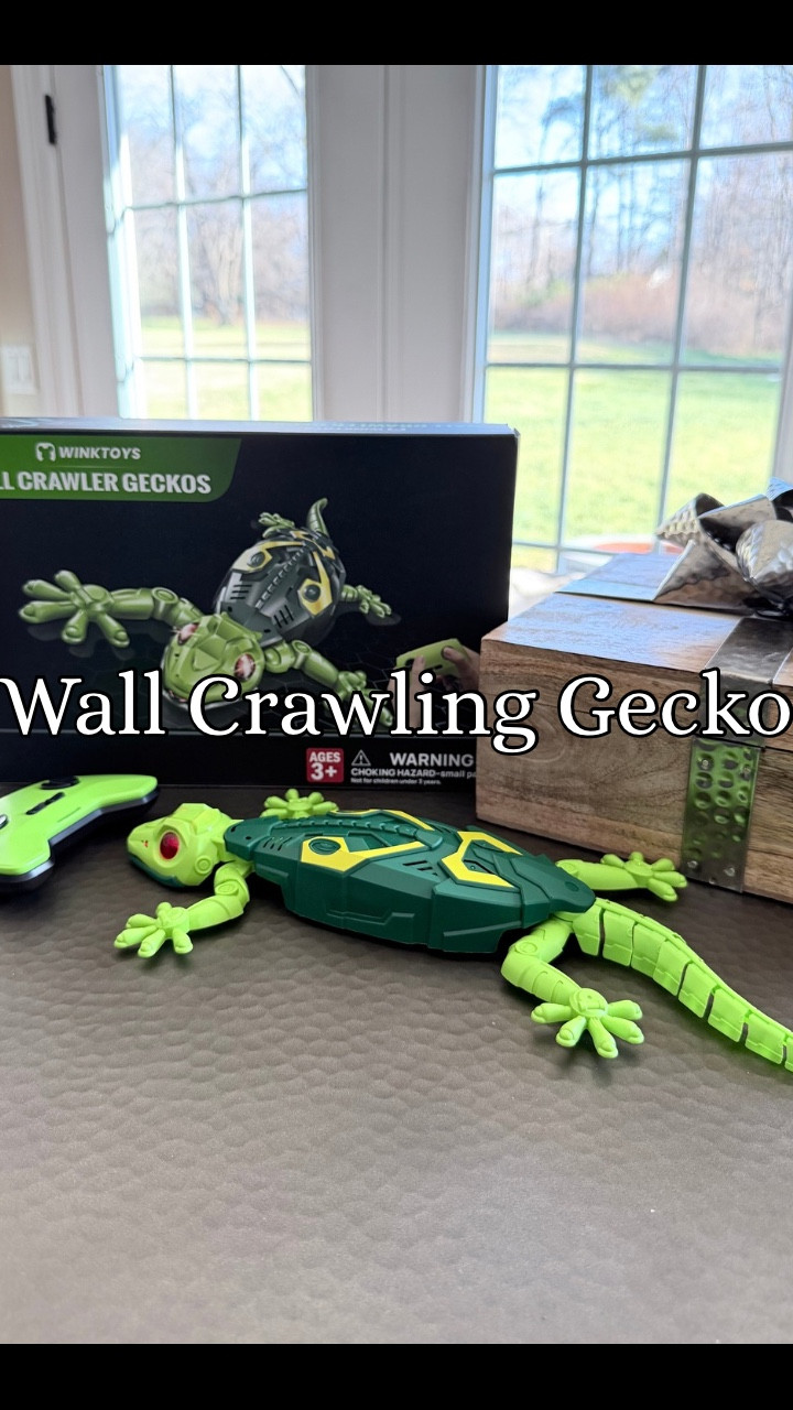 Gecko Wall Crawler 


Great gift!!!


#GeckoToy #LizardToy #GiftIdeasForKids
#FunToys #LTKHoliday #LTKGiftGuide

#LTKKids