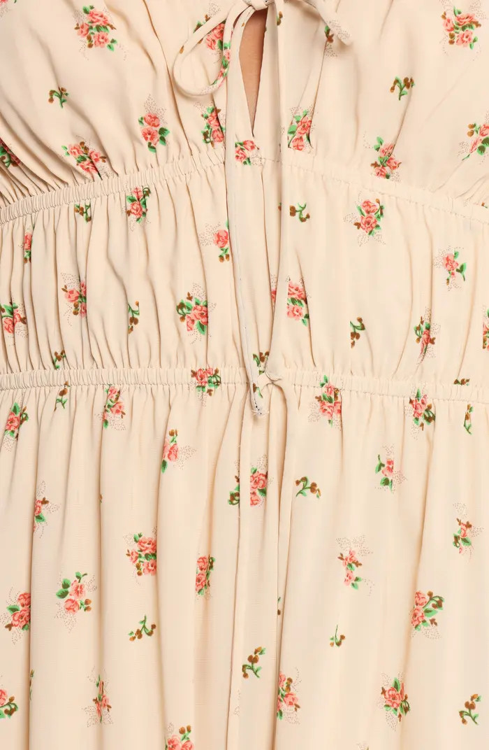 Petal & Pup | Nordstrom