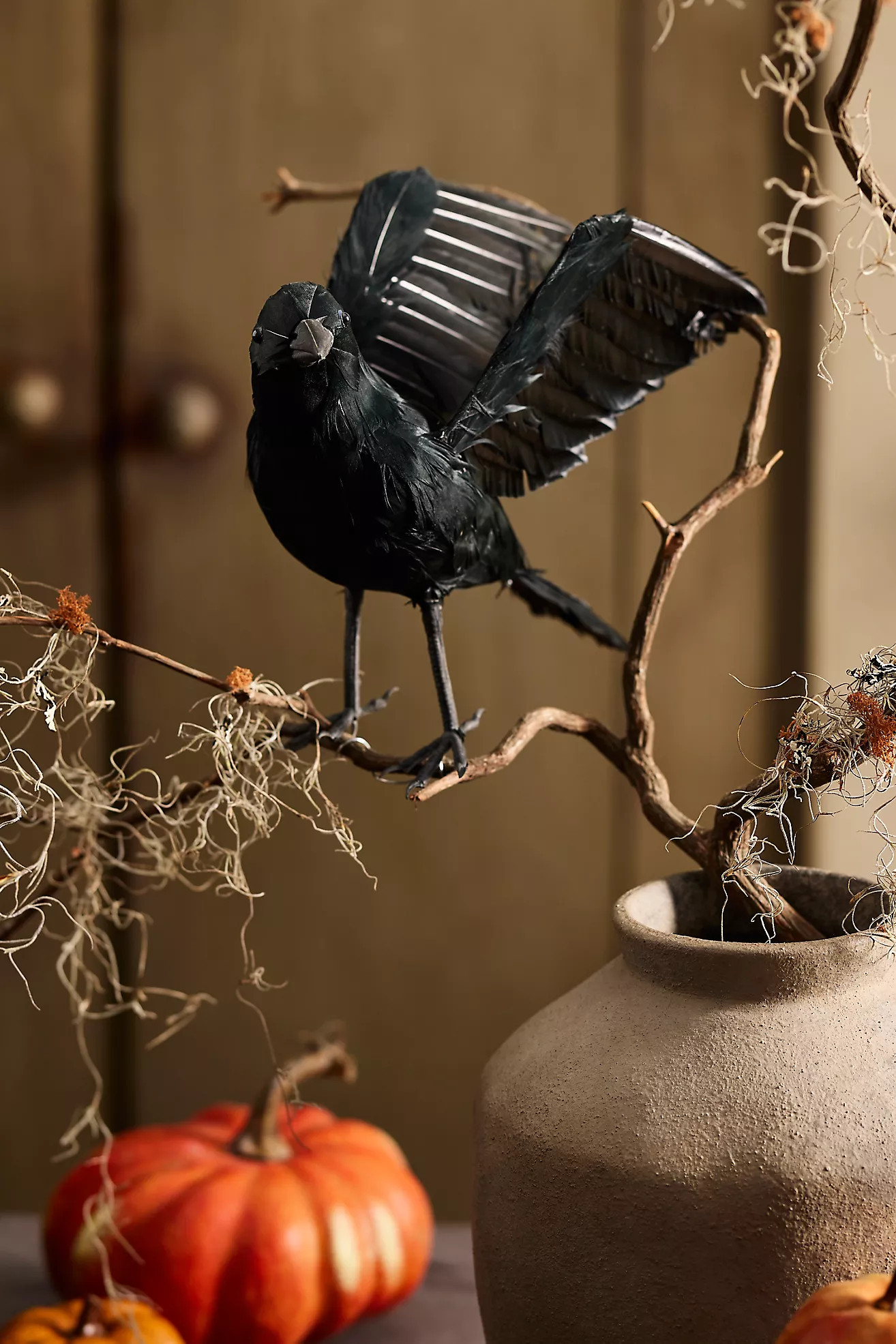 Feathered Crow Decorative Object | Terrain