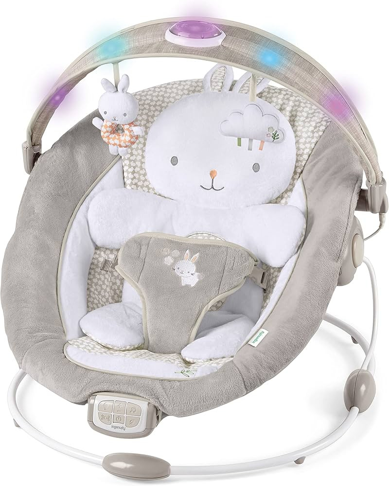 Ingenuity InLighten Baby Bouncer               
Age Range: Baby 

Size: 1 Count (Pack of 1) | Amazon (US)