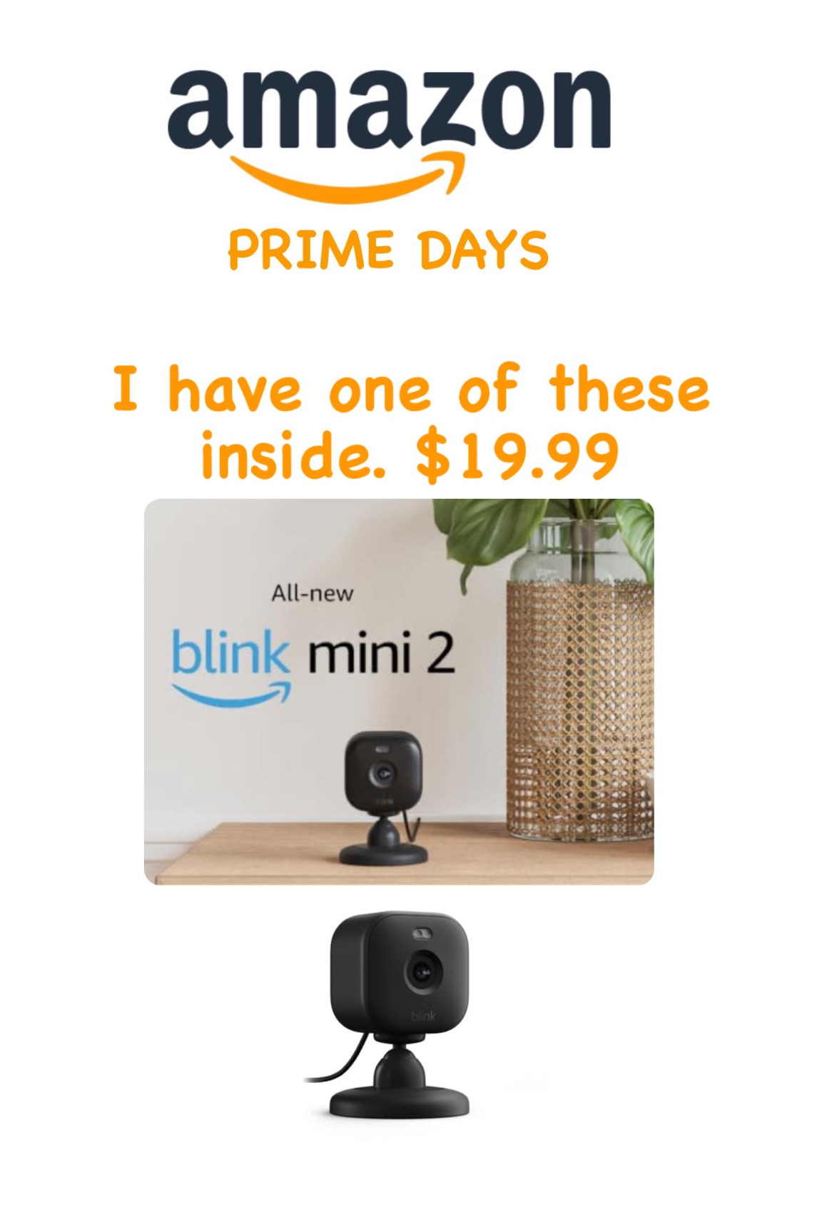 Indoor Blink mini camera $19.99

#LTKSaleAlert #LTKU #LTKHome