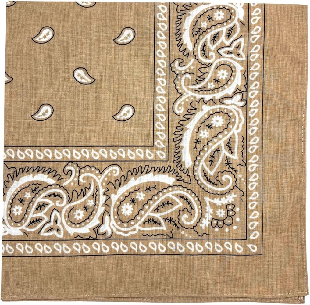 MDSTYLE 100% Cotton Bandana for Men & Women 22" x 22" Paisley Pattern Handkerchief Headband Scarf | Amazon (US)
