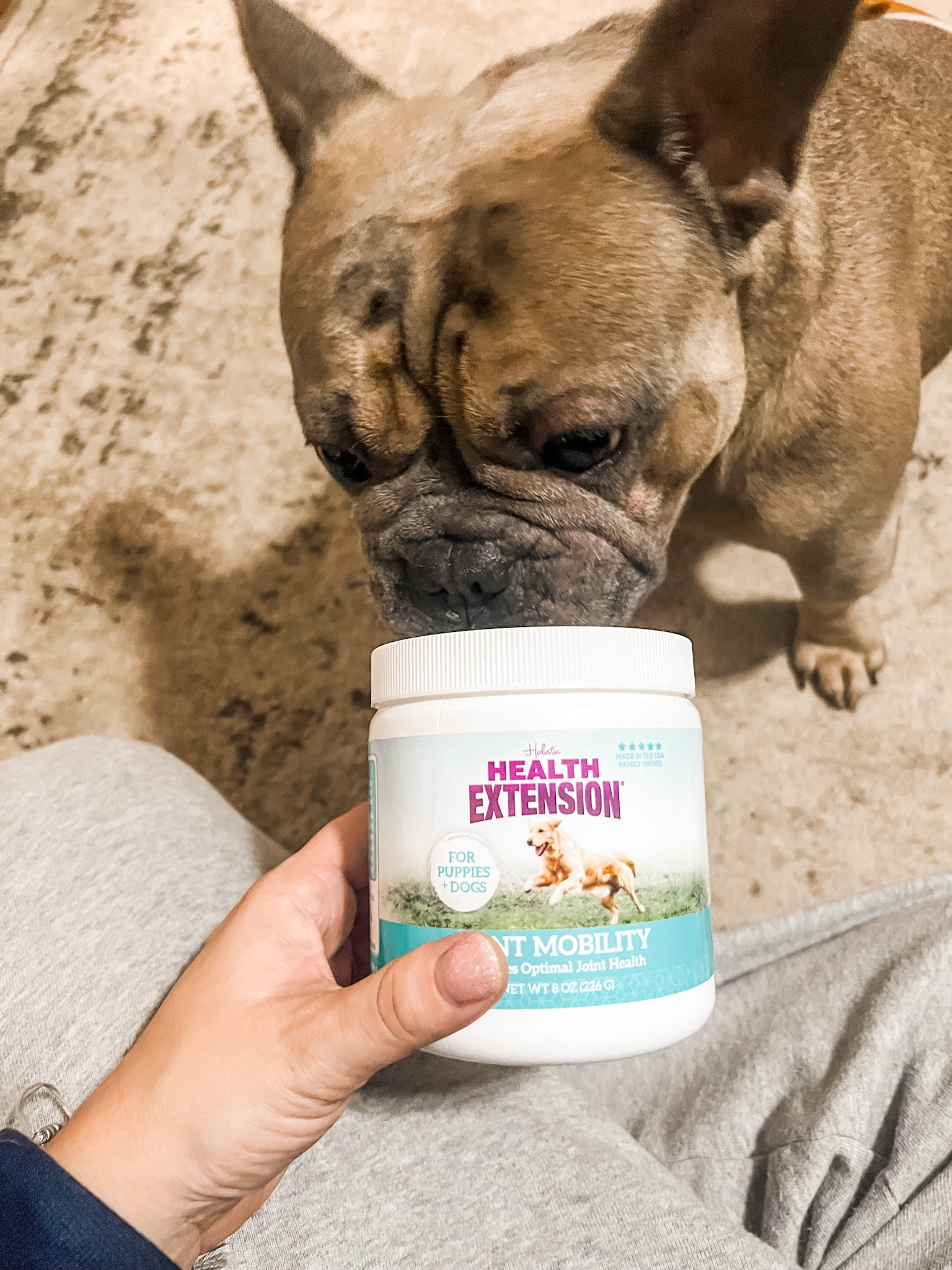 We’ve been adding this puppy supplement to Thor’s food and his ivdd symptoms have improved over the last couple months. We put it on his Purina Salmon dry food along with apples or broccoli and peas  

#LTKunder100 #LTKfamily #LTKunder50