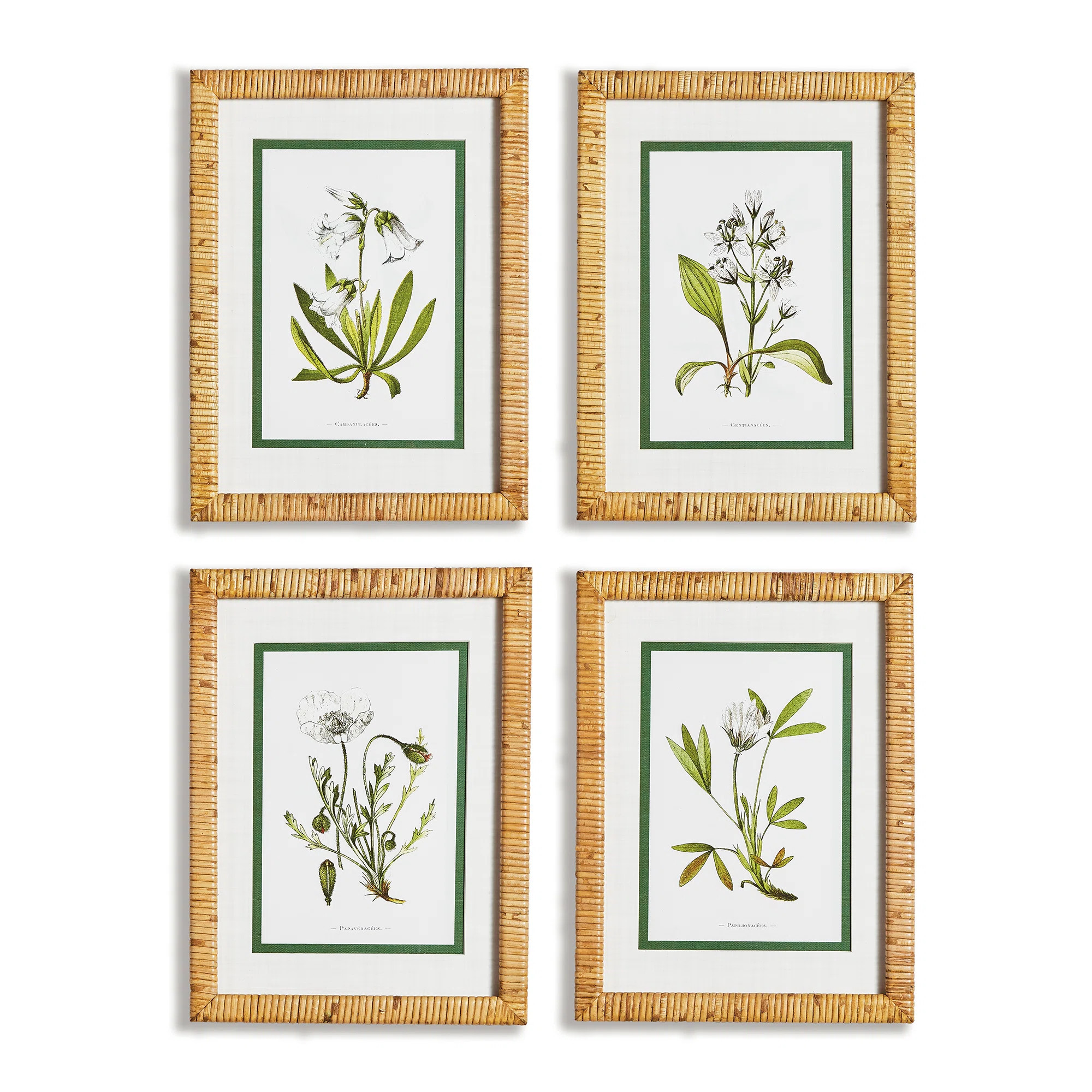 Andel " White Floral Study " 4 - Pieces | Wayfair North America