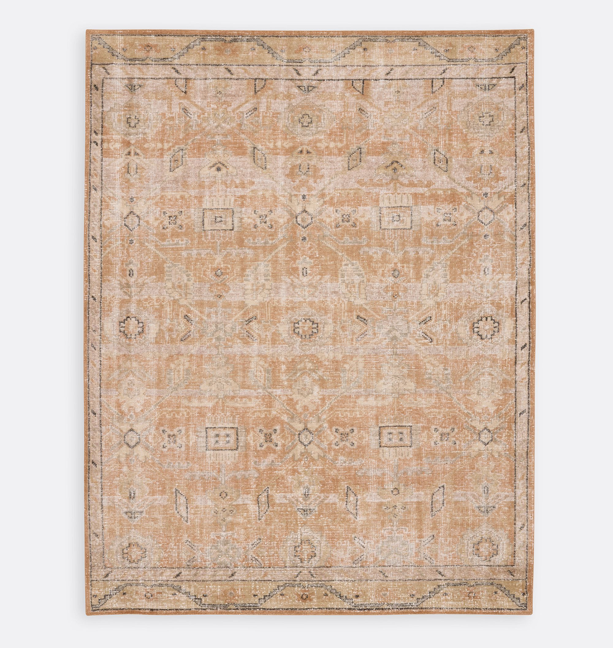 Rosina Indoor/Outdoor Hand-Knotted Rug | Rejuvenation