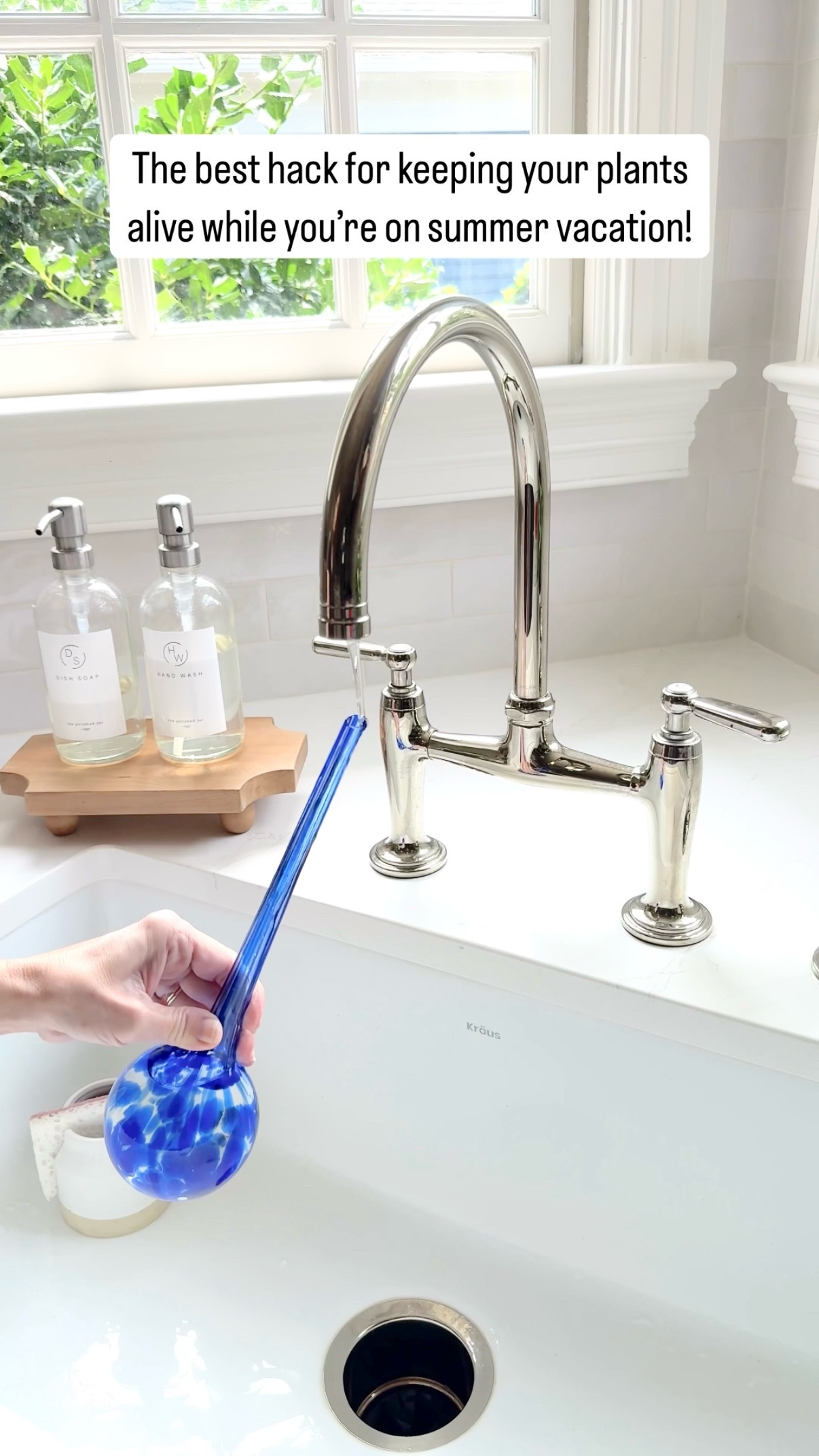 Using these glass water globes from @Wayfair is such a great hack for keeping your plants alive while you're gone on summer vacation! They’re also a great time-saver for any plants that you constantly have to water (and they add a colorful touch to your planters too!) 🙌🏻#Wayfair #WayfairPartner

#LTKSeasonal #LTKHome #LTKFindsUnder50