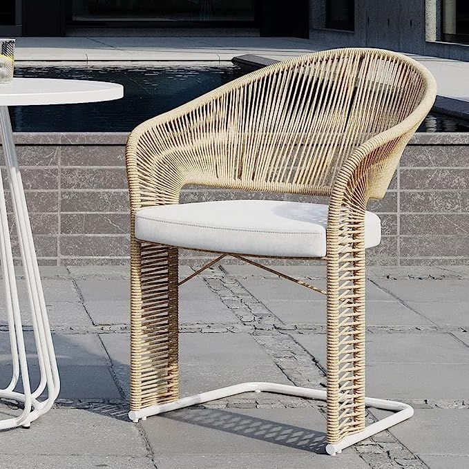 Zuri Modern Outdoor Patio Kaia Stainless Steel Dining Chair - Cream/White | Amazon (US)