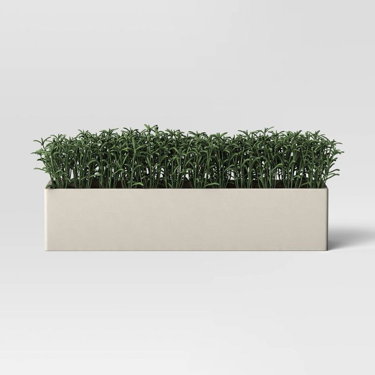 7.75" Succulent in Long Cement Tray Green - Threshold™ | Target