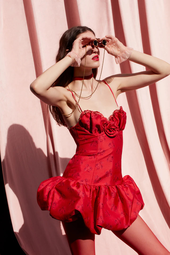 Annika Mini Dress | For Love & Lemons