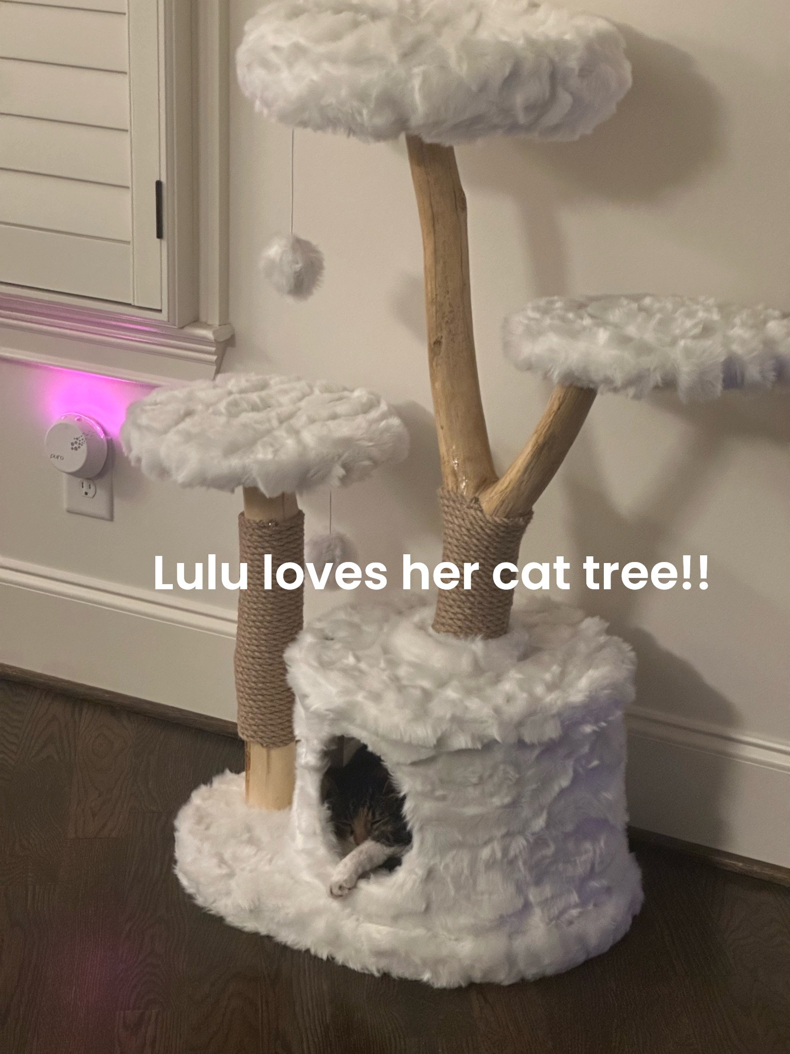 Lulu’s cat tree

#LTKHome