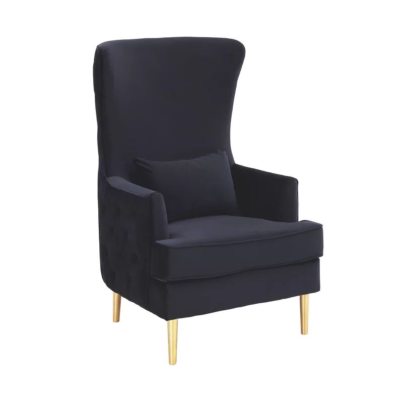31.5'' Wide Velvet Wingback Chair | Wayfair North America