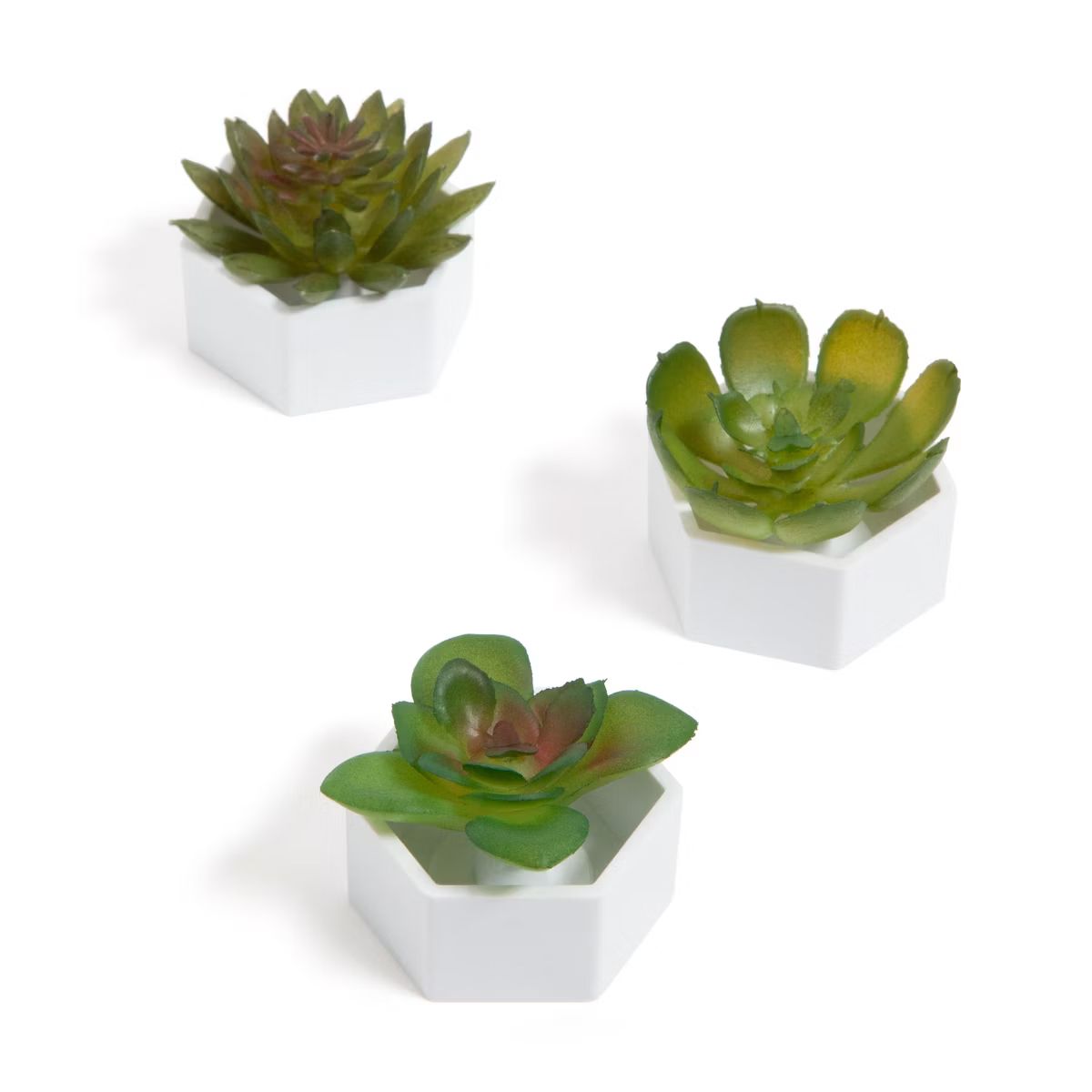 U Brands 3ct Hex Succulent Locker Magnet | Target