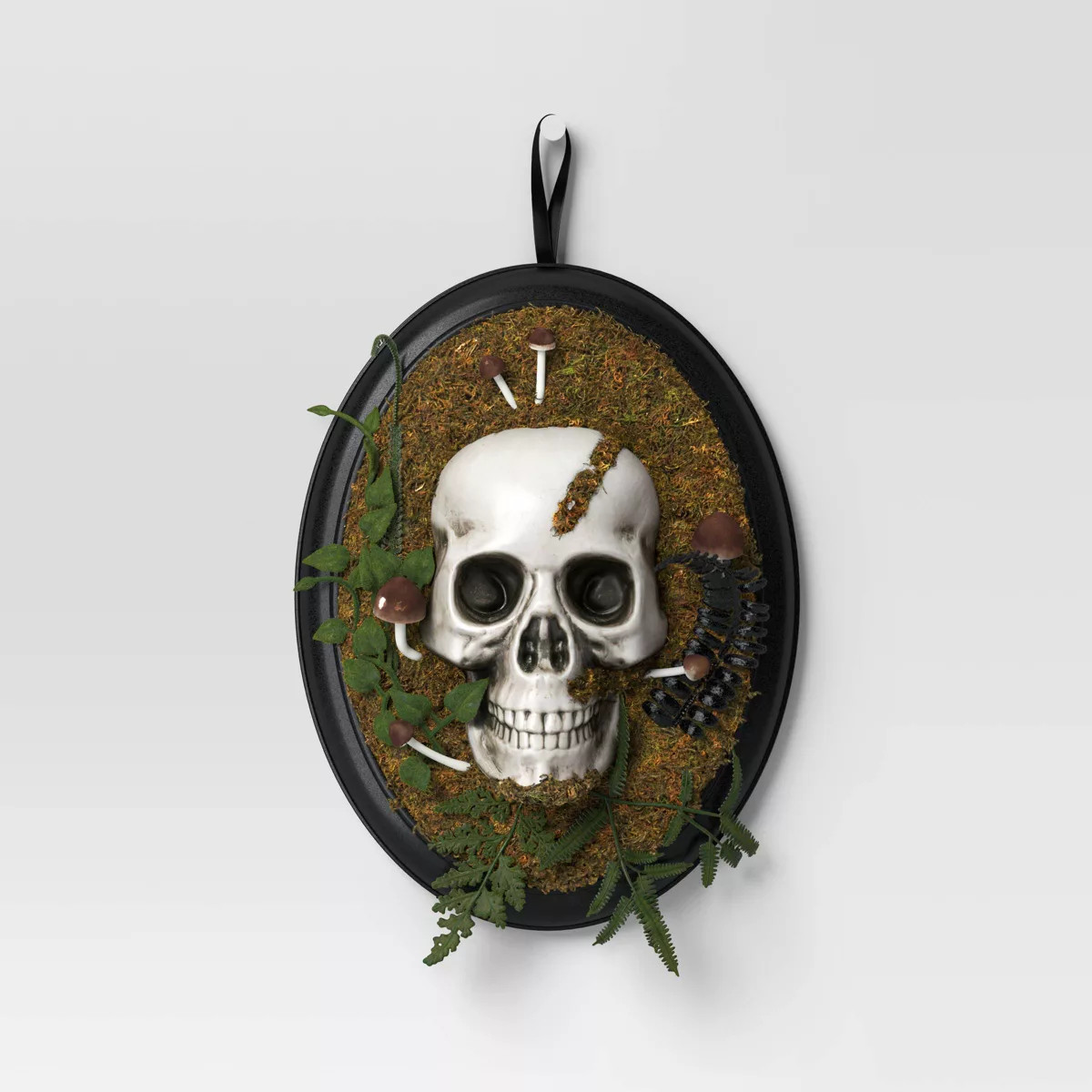14" Hanging Framed Skull Halloween Decorative Prop - Hyde and EEK! Boutique™ | Target