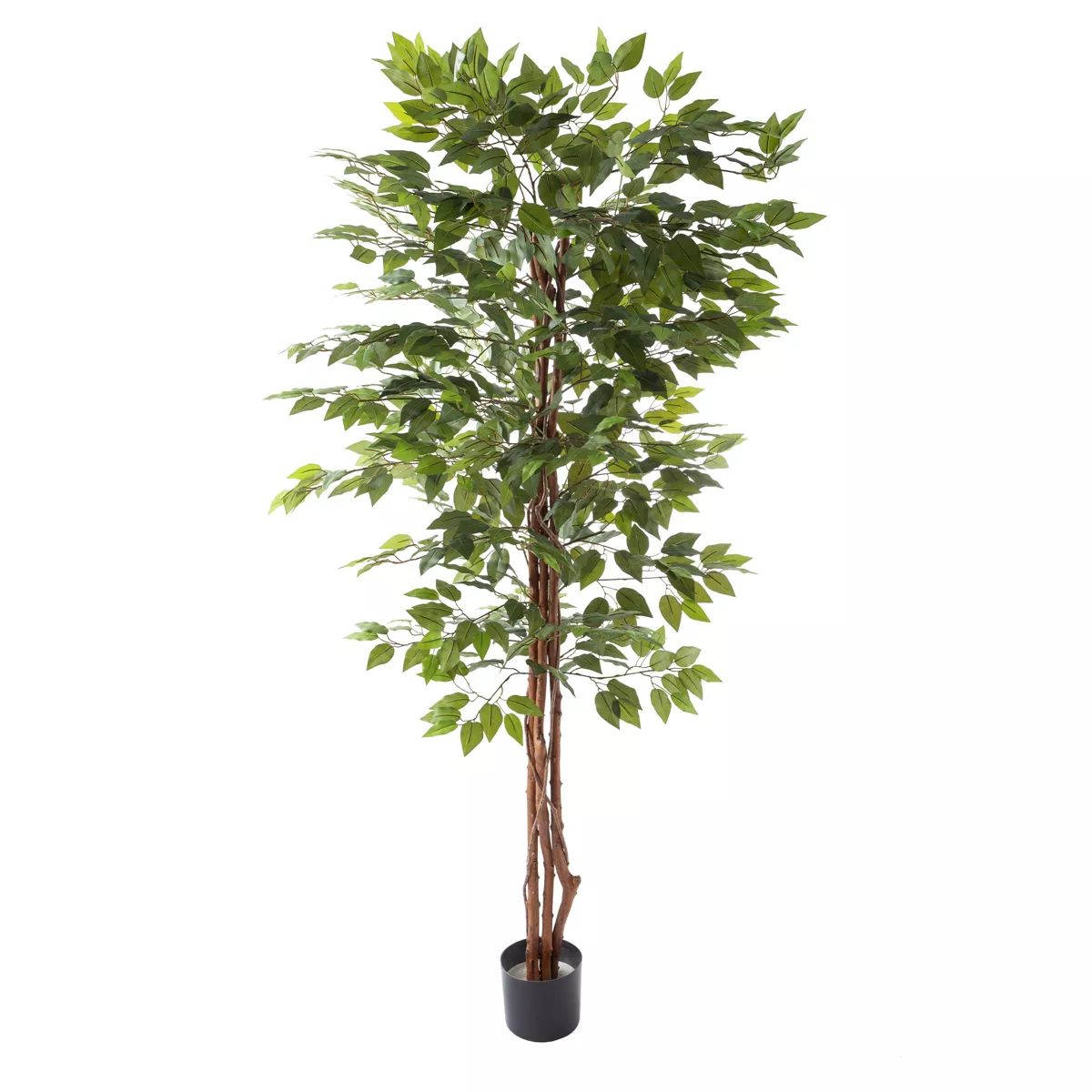 Ficus Artificial Tree - 80-Inch Potted Faux Silk Tree with Natural Looking Leaves for Office or H... | Target