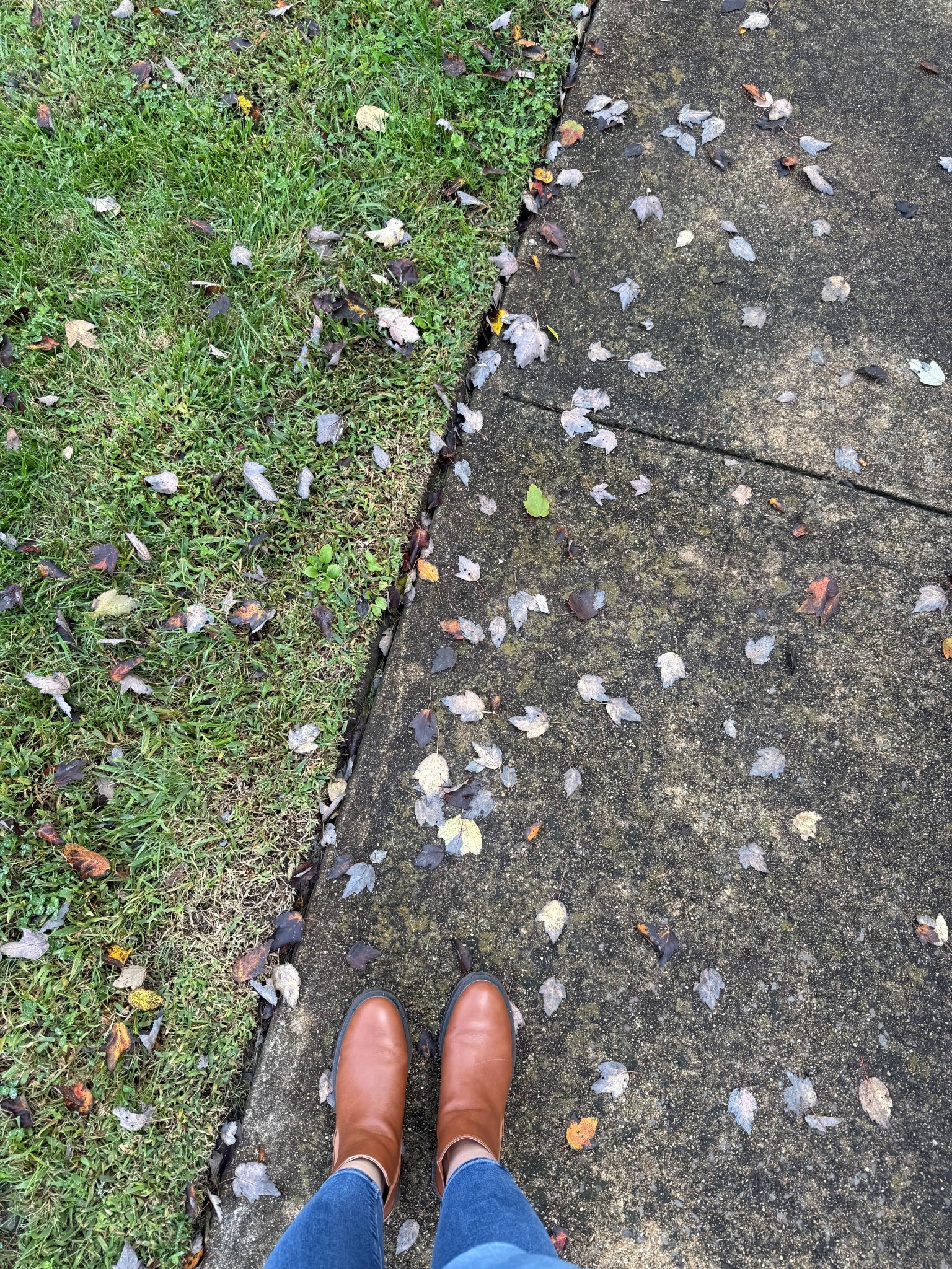 Finally feels like fall in Tennessee 🍂🤎

#LTKSeasonal