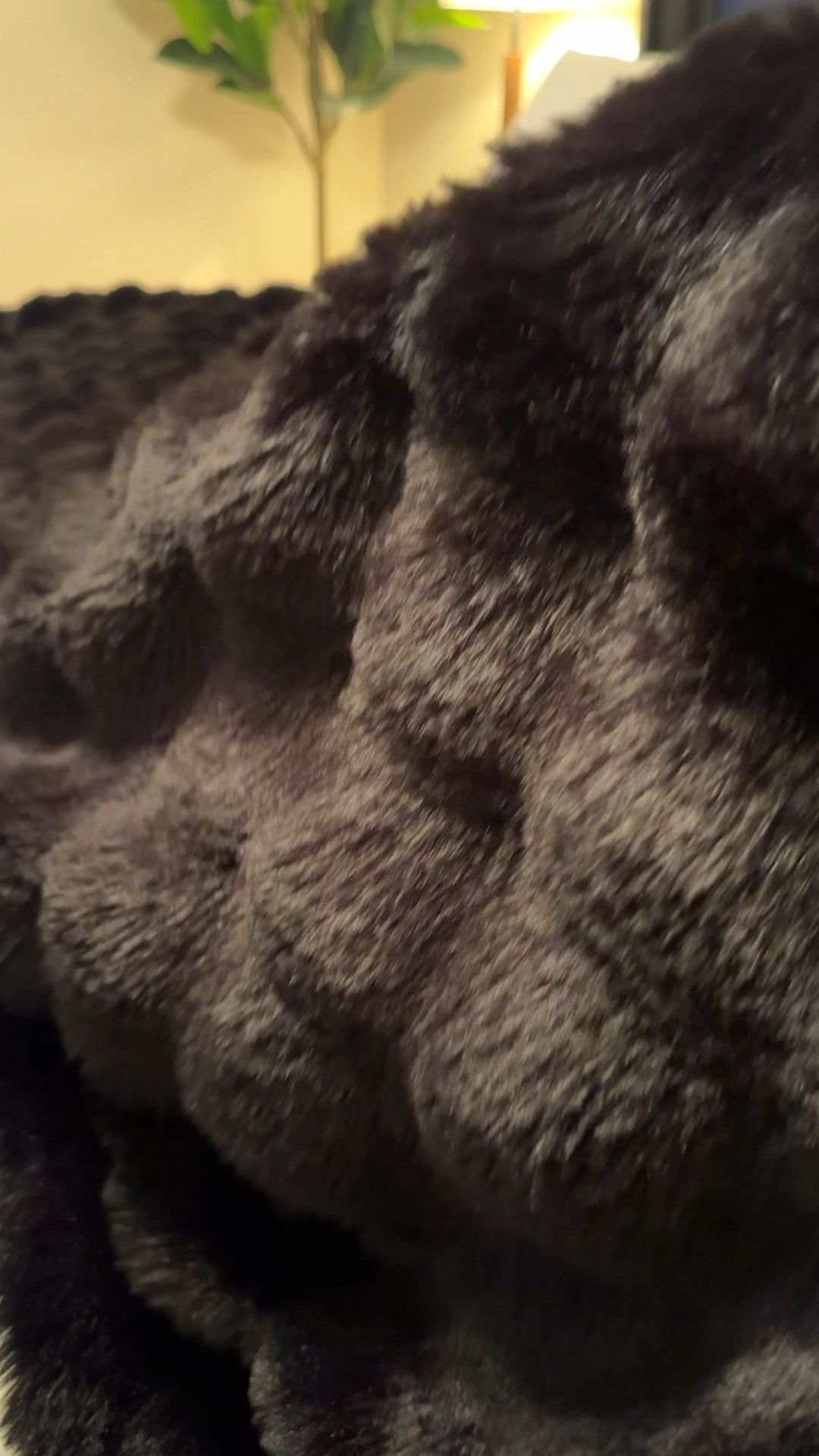 Must Have Blanket! #blanket #bedding #musthave

#LTKGiftGuide #LTKFindsUnder100 #LTKHome