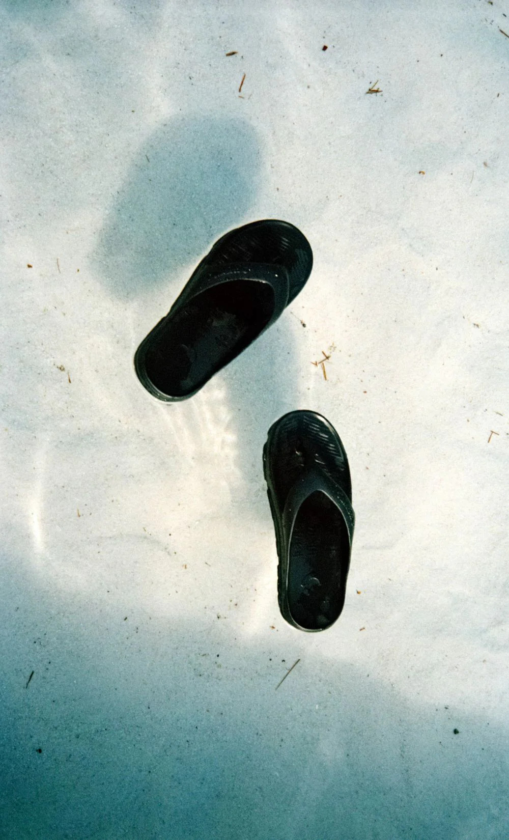 FREEWORLD BIO-THONG - BLACK | Bec & Bridge (Global)