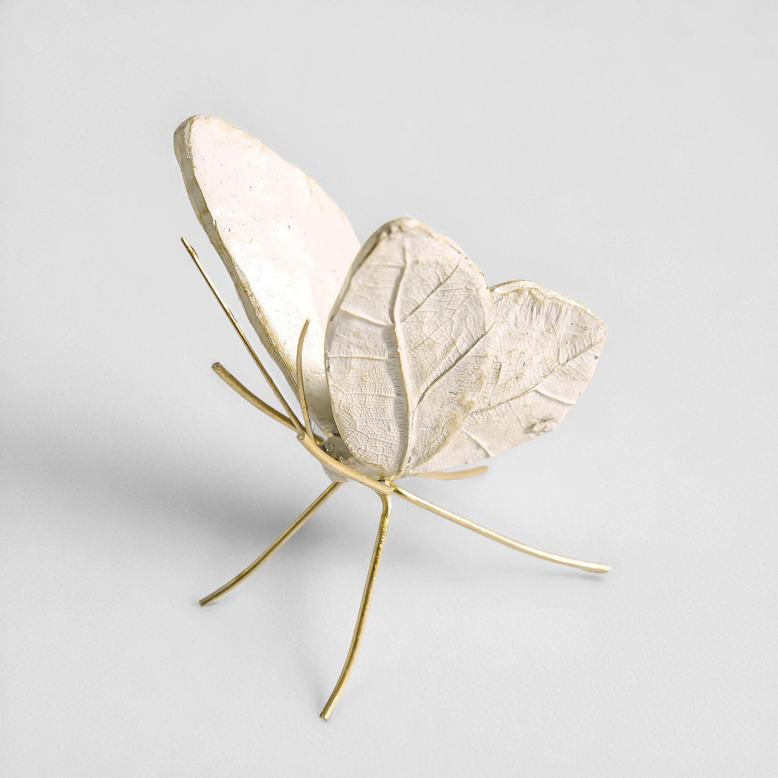 Leaf Wing Butterfly | Ivory & Gold | MJHome