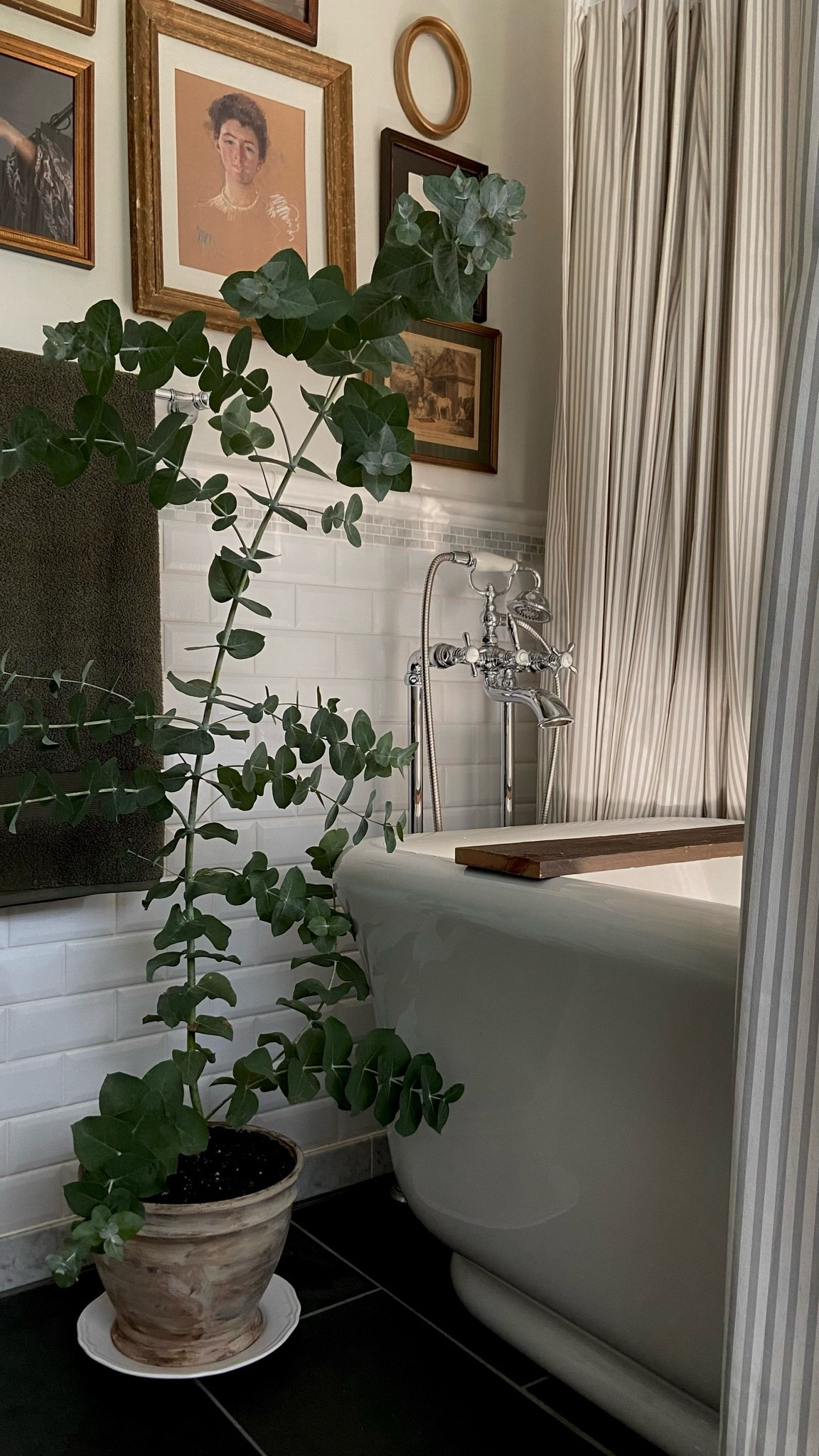 Morning sun in the bathroom.✨ Striped shower curtains are in the color Thyme! Use CREEKLINEHOUSE for 22% off your entire Two Pages order.

#LTKhome