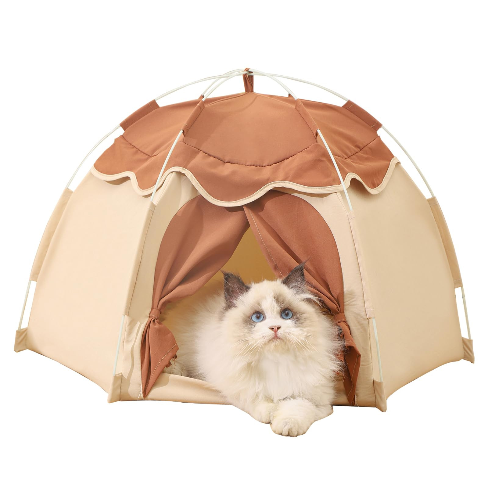 Gigreinc Cat Tent for Indoor, Indoor Dog House,Kitten Tent Suitable for Samll Dogs,Pet Cute Cave ... | Amazon (US)