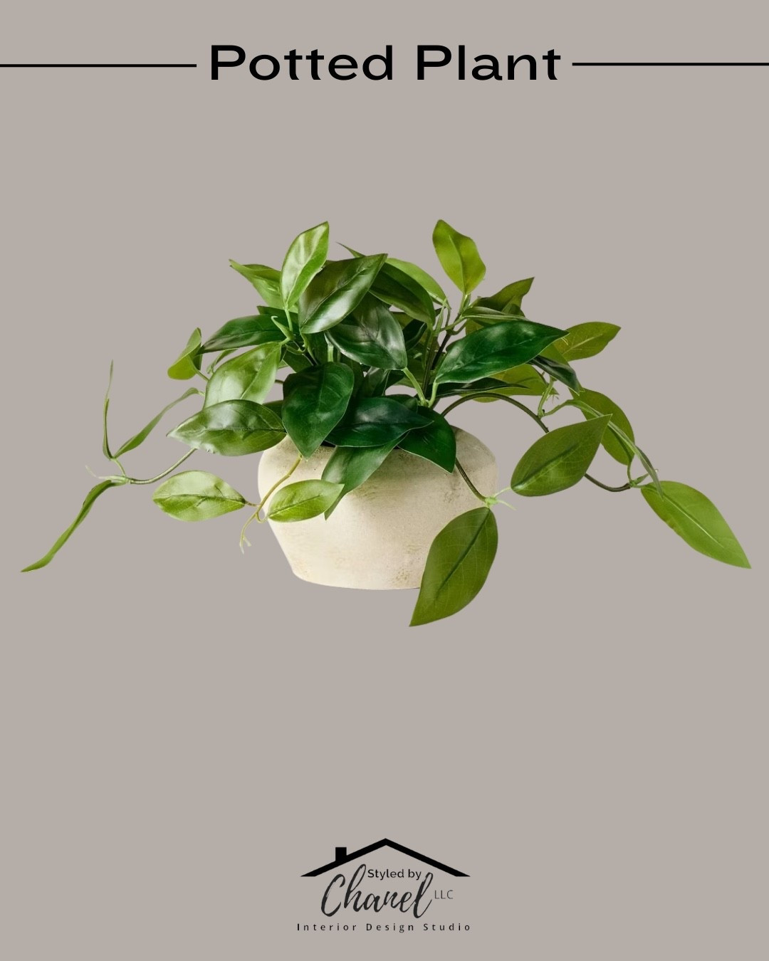 Small Trailing Hoya Leaf Potted Artificial Plant - Hearth & Hand™ with Magnolia

Description
Bring a breath of fresh air into your living space with this Small Trailing Hoya Leaf Potted Artificial Plant from Hearth & Hand™ with Magnolia. This decorative arrangement showcases lush green trailing hoya leaf branches arranged together to bring a lovely, natural look to your decor, and it comes housed inside a terracotta pot for instant display. Place it on a side or console table with other real or faux plants for a welcoming display.

Hearth & Hand™ with Magnolia: Gather • Create • Enjoy

#LTKgrwm #LTKmorningroutine #LTKSeasonal