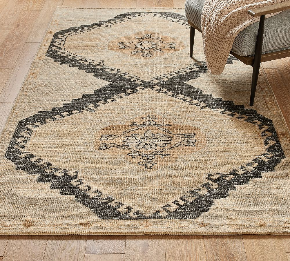 Demitria Hand-Knotted Rug | Pottery Barn (US)