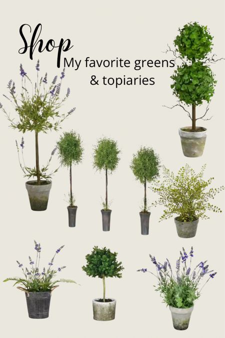 Artificial greens, ferns, lavender and topiaries.

#LTKfindsunder50 #LTKhome