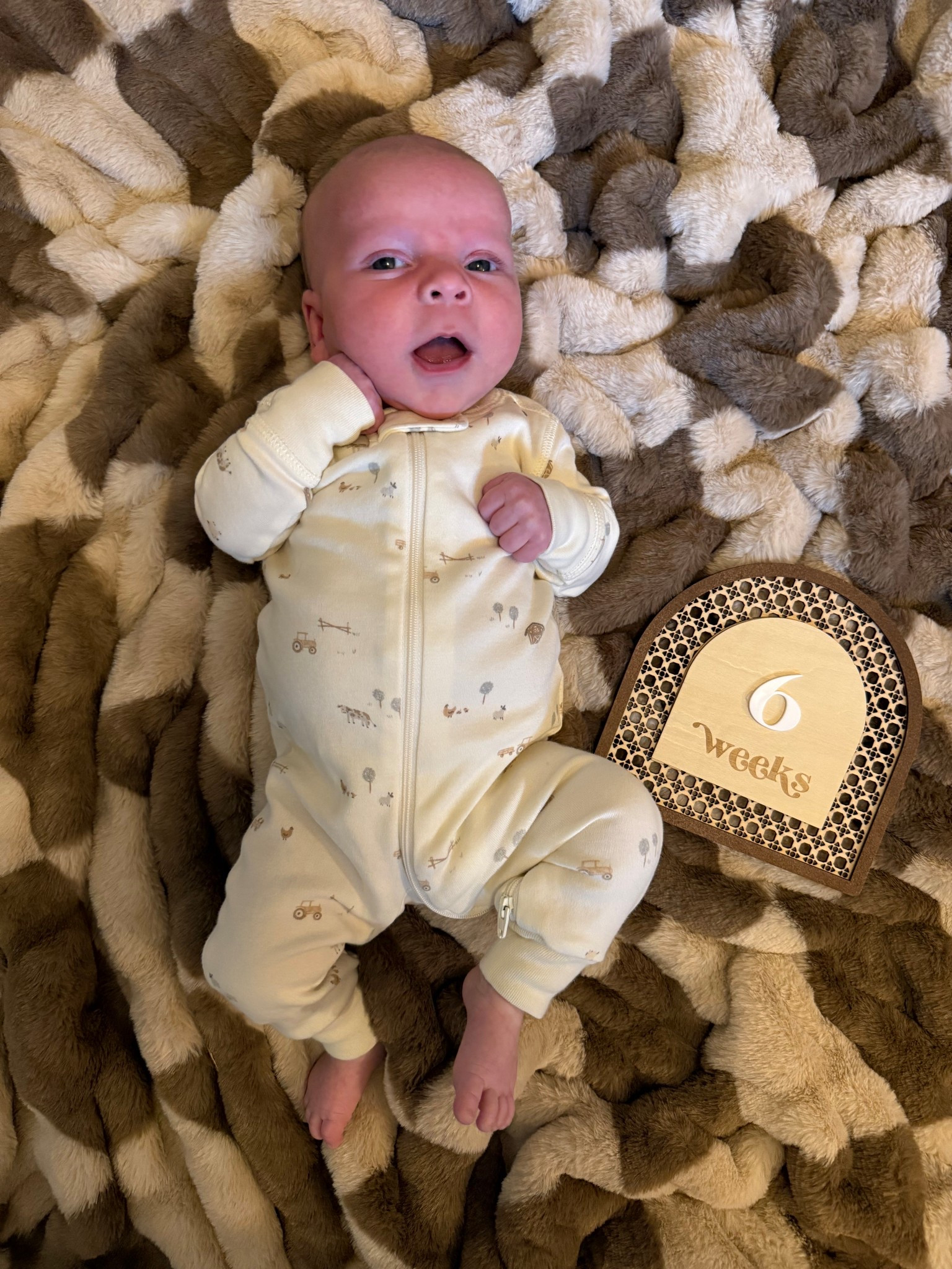 Baby milestone pictures 🤎

#LTKKids #LTKBaby #LTKBump
