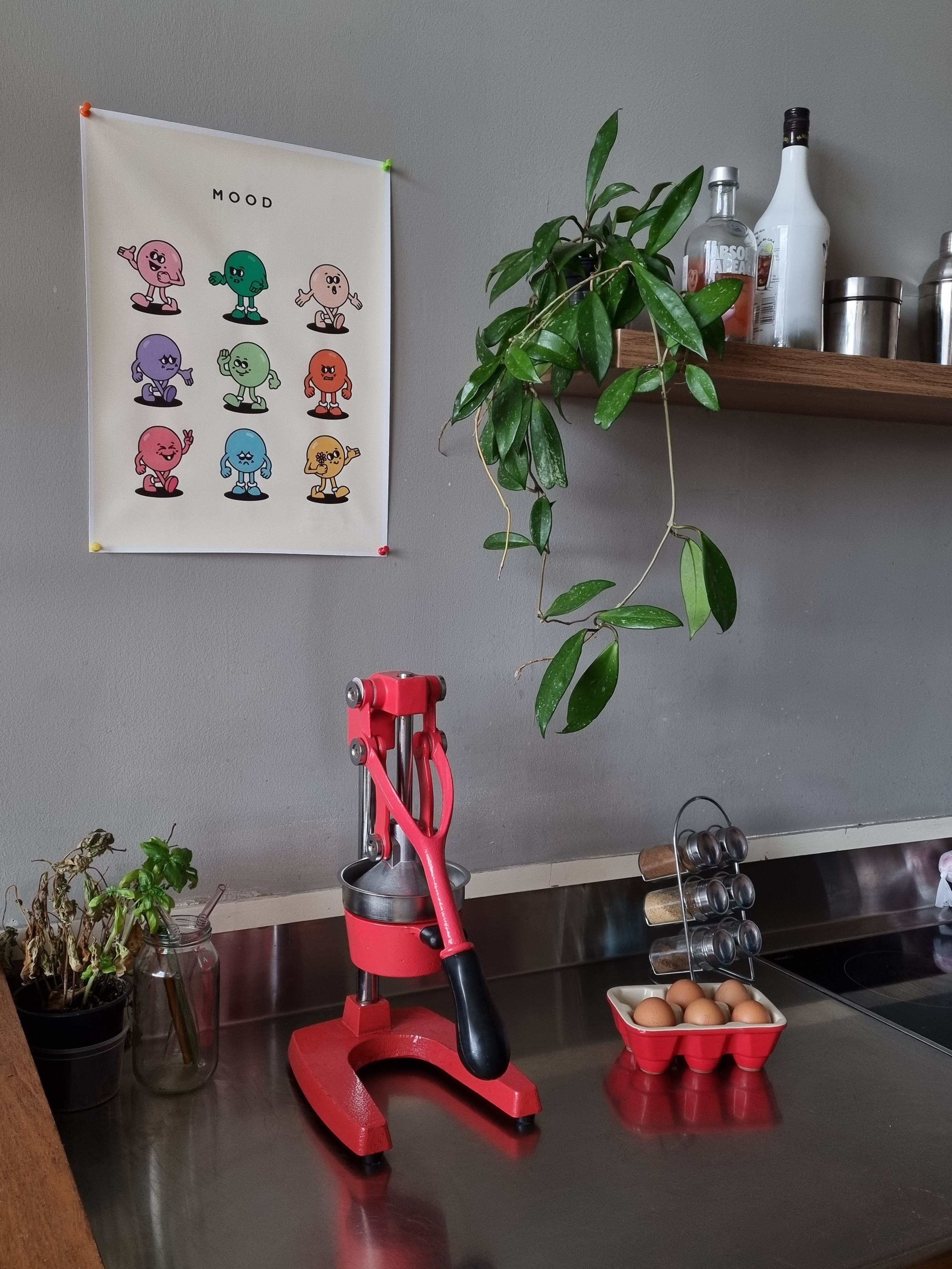 My favorite corner of our kitchen❣️

#LTKhome