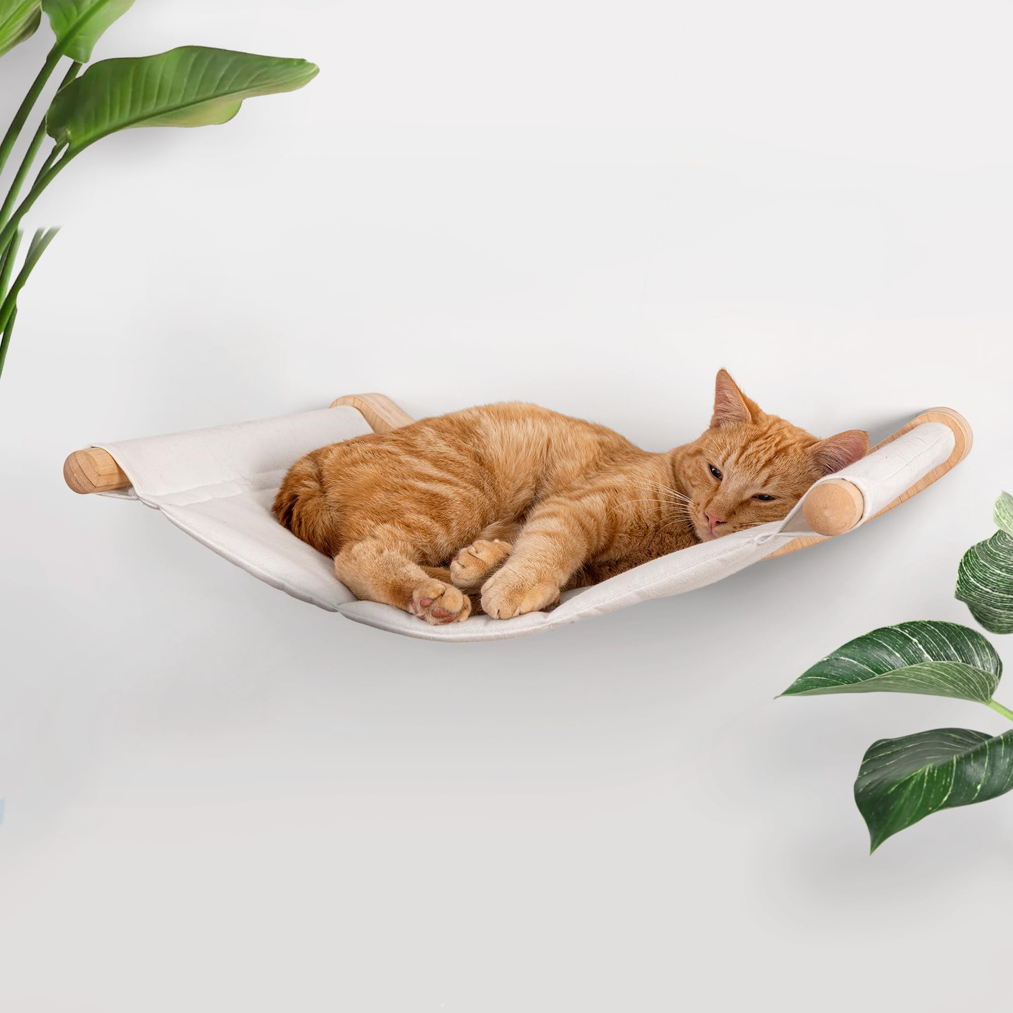 7 Ruby Road Cat Hammock Wall Mounted for Large and Indoor Cats or Kitty, Cute Bed Perch Shelf for... | Amazon (US)