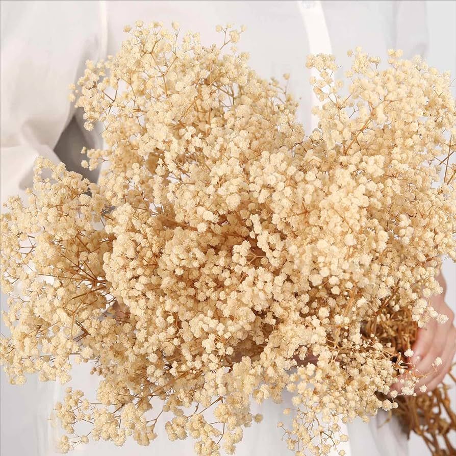 Dried Babys Breath Flowers Bouquet-17 Inch 5000+ Ivory White Dry Flowers, Natural Gypsophila Branches for Wedding, Table Vase Decor, DIY Wreath Floral, Home Office Party Garden Decoration (6OZ) | Amazon (US)