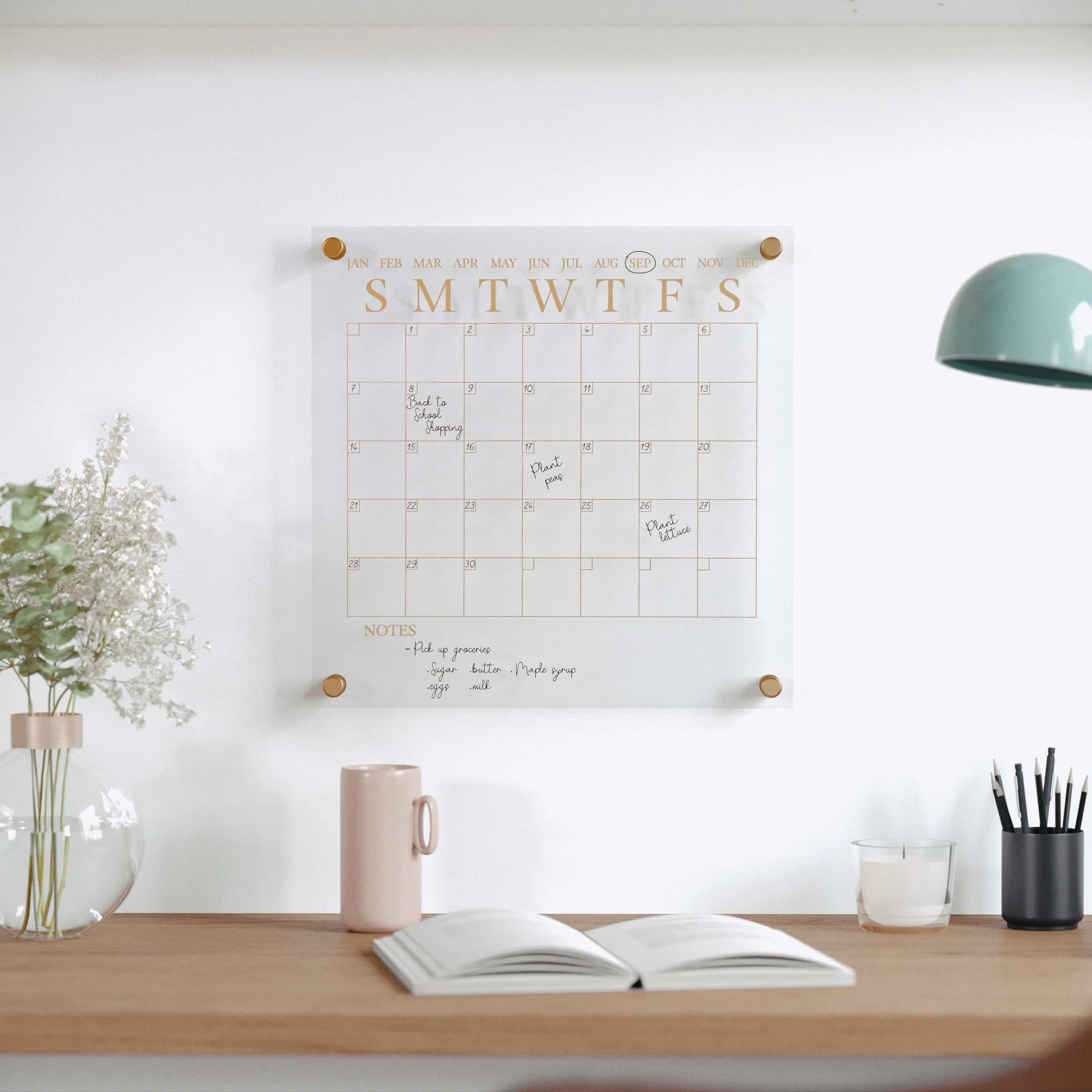 Martha Stewart Thomas Martha Stewart Acrylic Wall Calendar with Dry Erase Marker and Mounting Har... | Wayfair North America