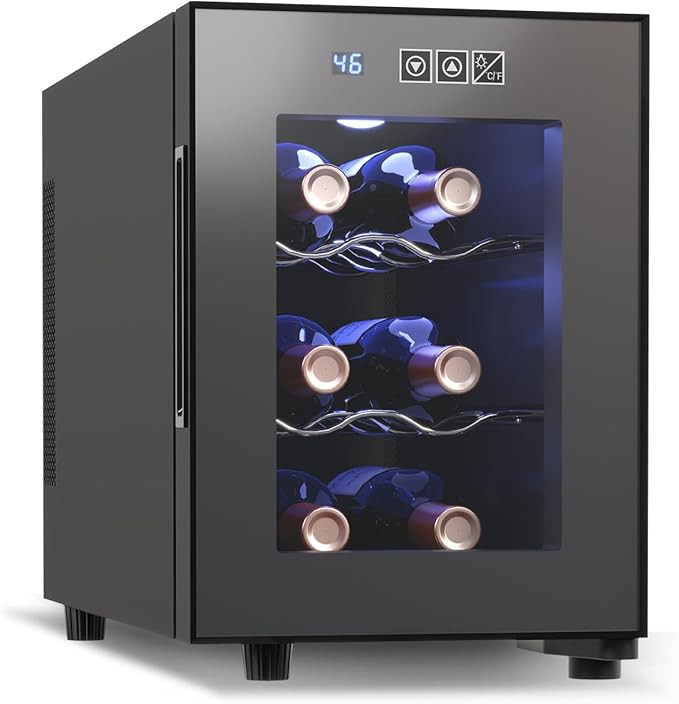 JINJUNYE 6 Bottle Wine Cooler, Wine Fridge Small with Digital Temperature Control, 46-66℉, Coun... | Amazon (US)