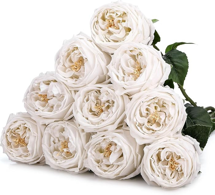 10pcs Real Touch Peonies Artificial Flowers, Faux Austin Rose with Long Stem Look Real Fake Flowe... | Amazon (US)