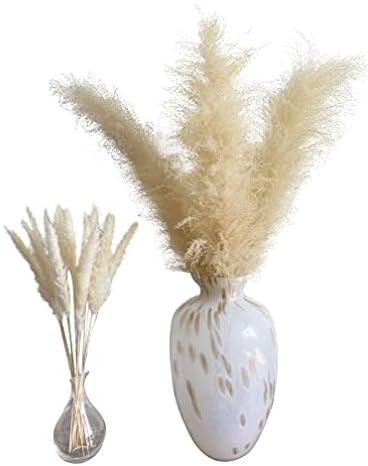 Homenivia's Fluffy Pampas Grass - 4 Beige Large Pampas Grass Stems 46" & Bonus 15 Small White Pam... | Amazon (US)